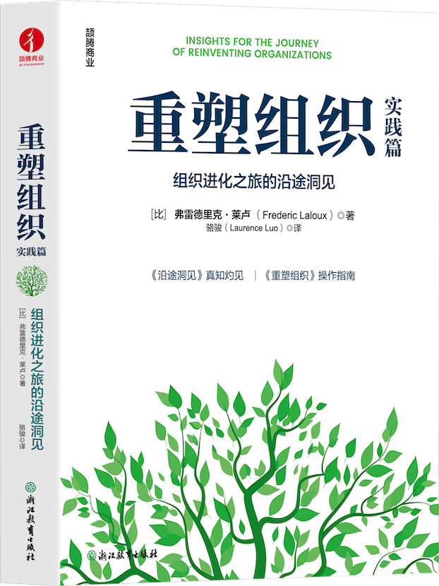 《重塑组织·实践篇》封面